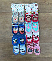 Детские носки - тапки Турция,интернет магазин,детская одежда Турция,махра + кож зам Для мальчиков, 20-21 см