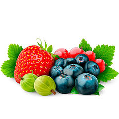 Саджанці ягідних культур