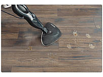 Пароочисники