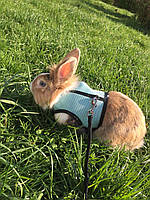 Шлейка з повідцем для кролика Trixie 61513