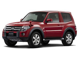 Pajero Wagon 4