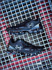 Кросівки Under Armour Scorpio Running Shoes Black, фото 10