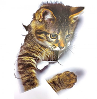 3D-наклейка на стіну Котик ABC