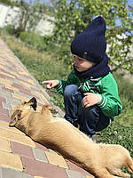Демісезонна дитяча в'язана шапка та снуд для хлопчика весна-осінь ручне в'язання.