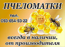 Пчеломатка украинской степной породы неплодная 2020