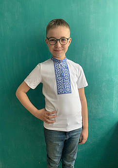 Вишиванка для хлопця Класика голуба