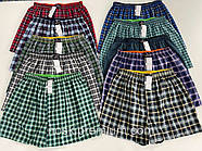 Чоловічі труси сімейні бавовна поплін клітина Calvin Klein, розміри XL-4XL, асорті, фото 5