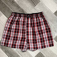 Чоловічі труси сімейні бавовна поплін клітина Calvin Klein, розміри XL-4XL, асорті, фото 3