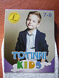 Детские носки "Totinni". р. 7-9. Асорті. Хлопчик, фото 4