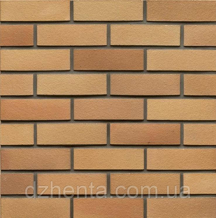Клинкерный кирпич Hellbraun Bunt