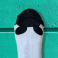 Високі шкарпетки з принтом міккі маус 36-44, фото 5