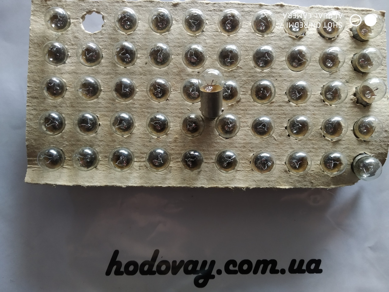 Лампочка панелі приладів (1шт.), фото 1