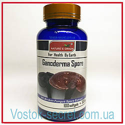 Капсули Спорти Ганодерми (Ganoderma Spore) /100 шт./