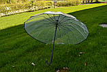 Парасоля жиноча прозора ТОП ПРОДАЖА ЗОНТ жіночий прозорий ЯКІСТЬ, фото 2