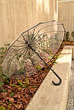 Парасоля жиноча прозора ТОП ПРОДАЖА ЗОНТ жіночий прозорий ЯКІСТЬ, фото 5