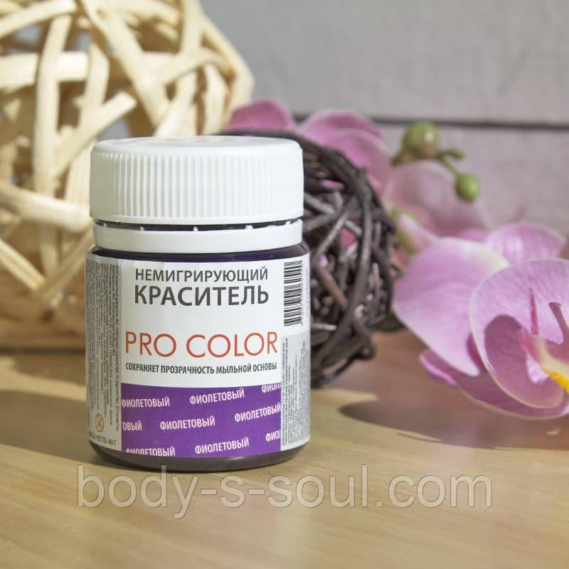 Немігруючий барвник "PRO Color", Фіолетовий 20 г