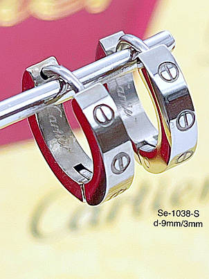 Сережки Stainlees Steel, фото 1