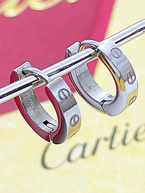 Сережки Stainlees Steel, фото 3