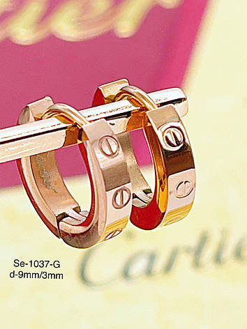 Сережки Stainlees Steel, фото 1