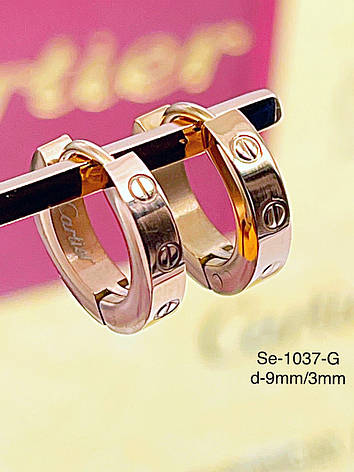 Сережки Stainlees Steel, фото 2