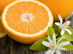 Косметичний ароматизатор Апельсин, Floressence