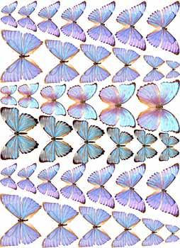 Вафельна картинка "Метелики. Фіолетові метеликі. Голубі метелики" А4, 20х30 см