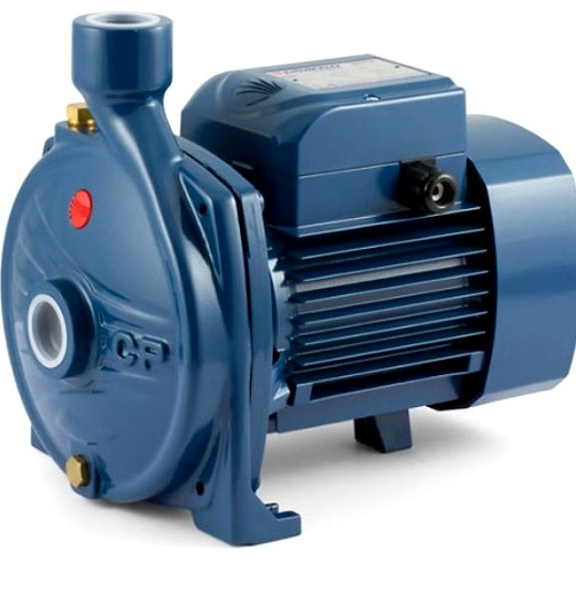 Насос Pedrollo CPm 160C, фото 1