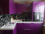 Фарбована фіолетова кухня під замовлення ViAnt, Київ і область, фото 5