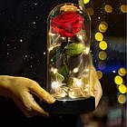 Трояда в колбі з LED підсвічуванням 20 см, Червона / Вічна троянда під куполом / Квітка-нічник у колбі, фото 9
