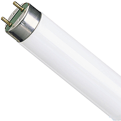 Лампа люмінісцентна Philips TL-D 36Вт/54-765 G13
