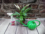 Гіркувата рослина Cпатифілум Вівальді (Жене щастя) міні, фото 2