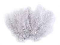 Страусовые перья длина 10-15 см. для декора. №26, светло-серый.