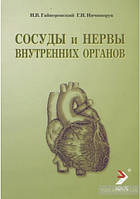 Гайворонський В. В.,Ничипорук Р. В. Судини і нерви внутрішніх органів. 2019г