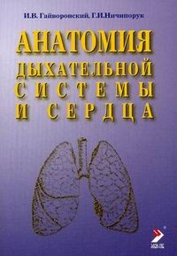 Гайворонський В. В. Анатомія дихальної системи і серця 2021р, фото 1