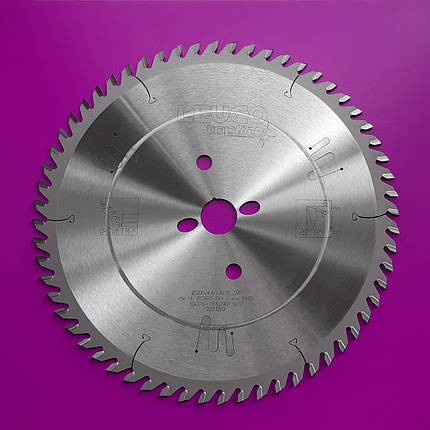 300x4,4/2,8x30 Z=60 Основна дискова пила Leuco для пильних центрів, фото 1