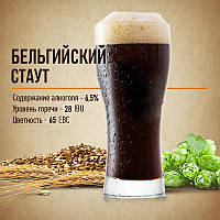 Зерновой набор "Бельгийский стаут" на 10 литров пива