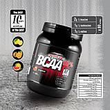 Харчова добавка BCAA порошок 400г Activlab (04831-01), фото 3