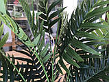 Пальма арека штучна 160 см, фото 4