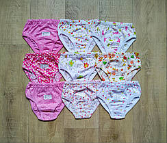 Труси для дівчинки 8--9 місяців, від 1 до 9 років