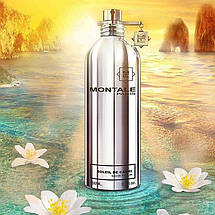 Montale Soleil de Capri парфумована вода 100 ml. (Монталь Солей де Капрі), фото 5