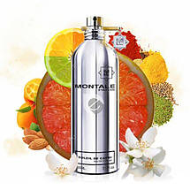 Montale Soleil de Capri парфумована вода 100 ml. (Монталь Солей де Капрі), фото 3