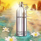 Тестер Montale Soleil de Capri парфумована вода 100 ml. (Монталь Солей де Капрі), фото 3