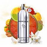 Тестер Montale Soleil de Capri парфумована вода 100 ml. (Монталь Солей де Капрі), фото 5