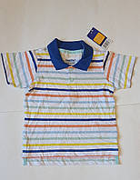 Дитяча футболка Поло біла в смужку для хлопчика