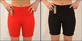 Шорти жіночі яскраві з підворотом стрейч L — 5XL Tovta — бавовна (9 кольорів)