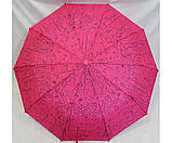Жіноча парасолька напівавтомат антивітер 10 спиць карбон жіночі парасольки краплі, фото 4