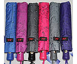 Жіноча парасолька напівавтомат антивітер 10 спиць карбон жіночі парасольки краплі, фото 2