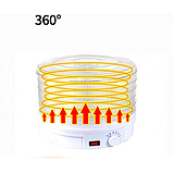 Сушарка для фруктів та овочів 16 л дегідратор Rainberg RB-912, фото 3