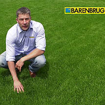 Газонна трава Barenbrug Shadow and Sun / Баренбург Тінь і Сонце (Нідерланди), фото 3