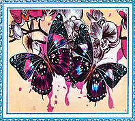 Алмазная Мозаика на подрамнике . Набор алмазной вышивки на подрамнике "Бабочки и орхидеи". Размер 30*20 см.